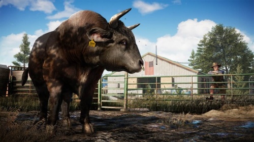 Far Cry 5[PLAY STATION 4]